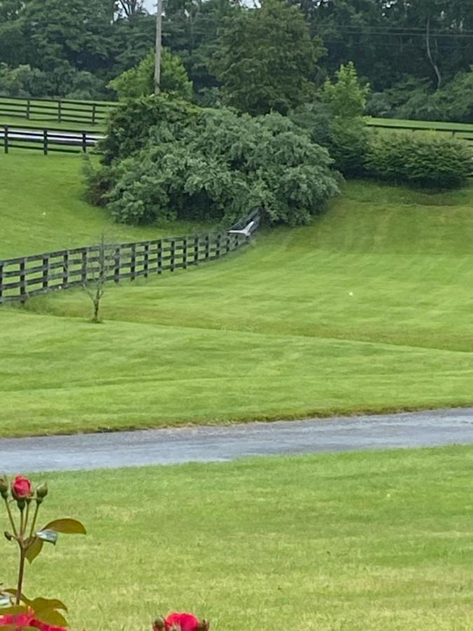 Pillow And Paddock La Grange