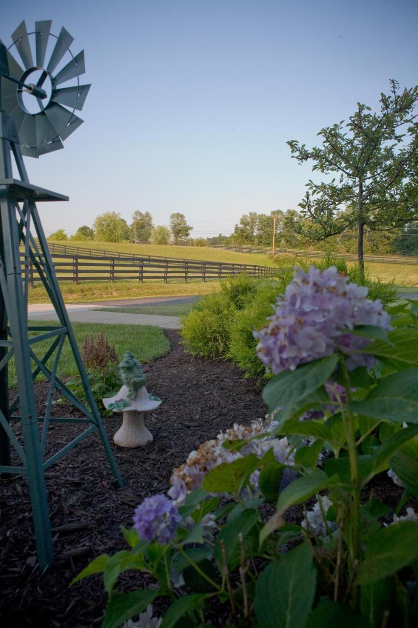 Pillow And Paddock Bed & Breakfast 3*