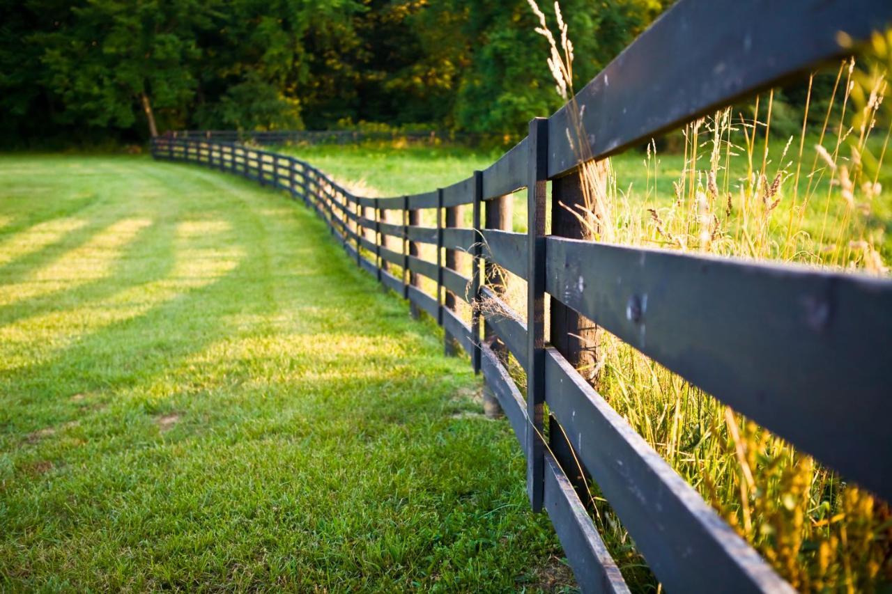 Bed & Breakfast Pillow And Paddock 3*